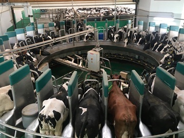 シャインコースト株式会社-1