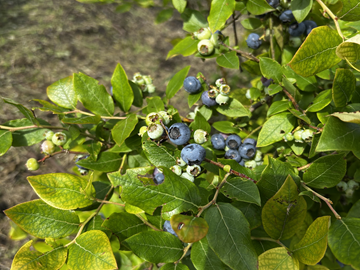 株式会社NARUMIプランニング-3