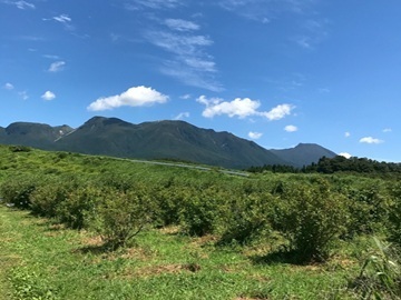 株式会社NARUMIプランニング-4