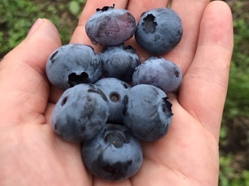 株式会社NARUMIプランニング-5