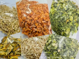 株式会社ドリームフィールド-top