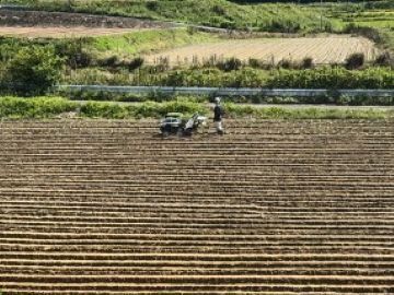 株式会社ドリームフィールド-1