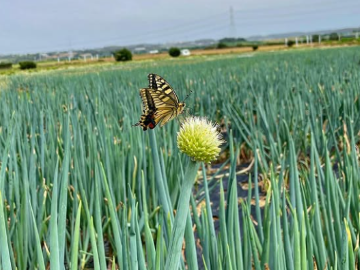 株式会社ドリームフィールド-8