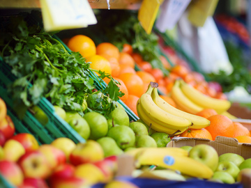 愛知県豊山町×青果営業/法人【43412】-1