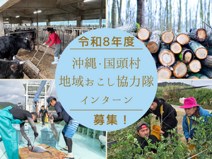 沖縄県国頭村 地域おこし協力隊インターン募集-top