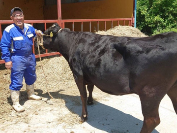 株式会社上田牧場-top