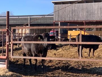 株式会社上田牧場-6