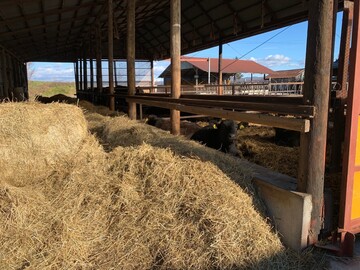 株式会社上田牧場-7