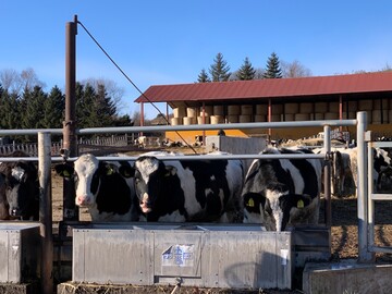 株式会社上田牧場-8