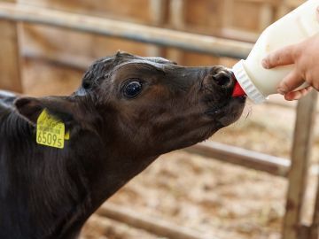 株式会社岸上牧場-3