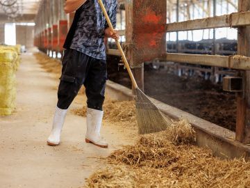 株式会社岸上牧場-4