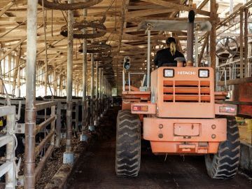 株式会社岸上牧場-5