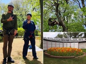 松村園芸株式会社-top