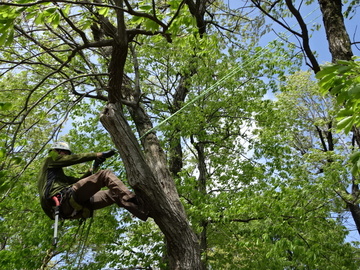 松村園芸株式会社-3