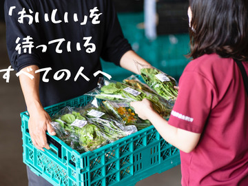 大阪府・愛知県×青果提案営業/法人【43423】-top