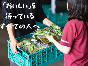 大阪府・愛知県×青果提案営業/法人【43423】-top