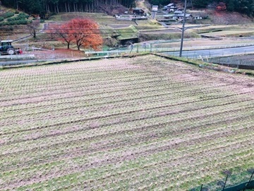 559ファーム合同会社-6