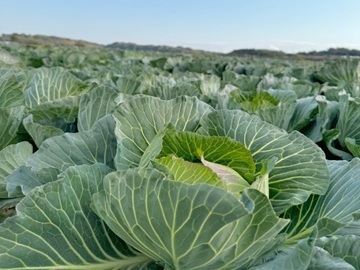 株式会社ドリームフィールド-6