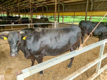 株式会社カウシン-7