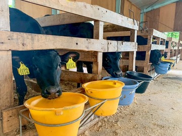 株式会社カウシン-1