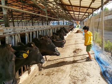 株式会社カウシン-3