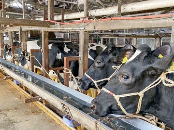 株式会社カウシン-5