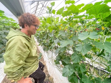みわこ農園(高知市)-5