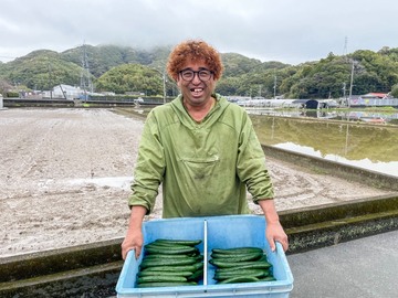 みわこ農園(高知市)-top