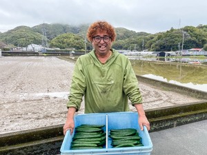 みわこ農園(高知市)-top