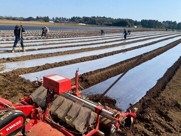 株式会社芝山農園-3