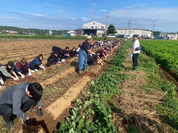 株式会社芝山農園-6