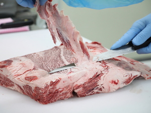 株式会社ダイチ-top