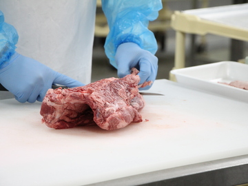 株式会社ダイチ-1