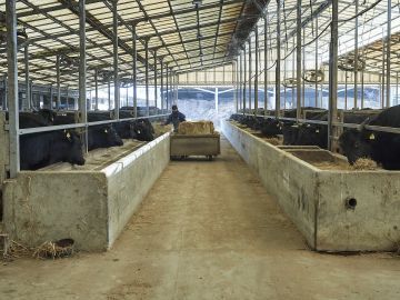 有限会社佐賀セントラル牧場 -1