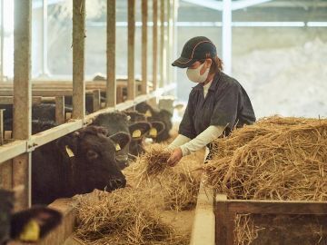 有限会社佐賀セントラル牧場 -3