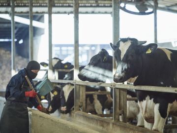 有限会社佐賀セントラル牧場 -4