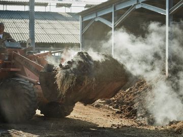 有限会社佐賀セントラル牧場 -5
