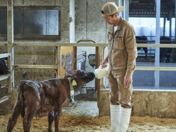 有限会社佐賀セントラル牧場 -7