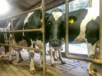 株式会社カウシン-6