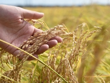 カネサ【短期アルバイト】-2