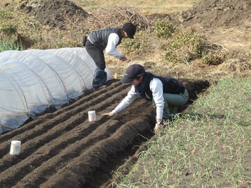 株式会社むかし野菜の邑-5