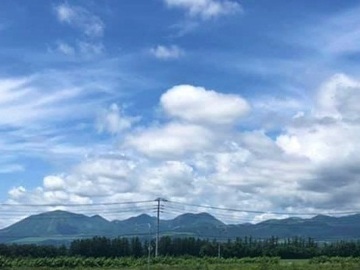 有限会社松山牧場-1