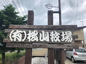 有限会社松山牧場-2