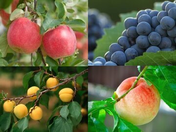 寿高原食品株式会社-3