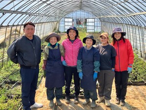 ケンズグリーン株式会社-top