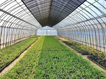 ケンズグリーン株式会社-8