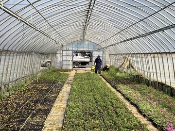 ケンズグリーン株式会社-3