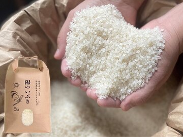 株式会社樫村ふぁーむ-2