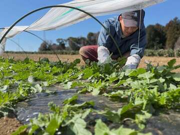 株式会社樫村ふぁーむ-4