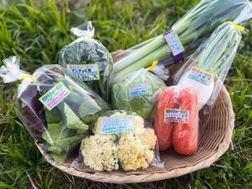 株式会社樫村ふぁーむ-7